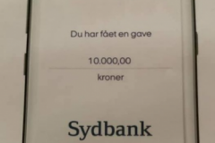 Sydbank-Fonden-2021-08-20-110156